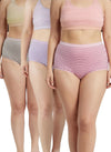 High Waist Plus Size Striped Hipster Panty In Pink Beige Purple