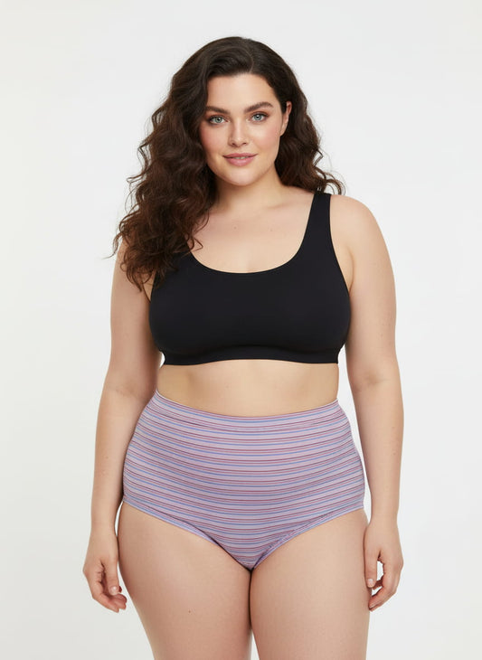 High Waist Plus Size Striped Hipster Panty In Pink Beige Purple